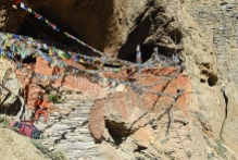 спонсирование трехгодичного ретрита с самозаточением в Бутане